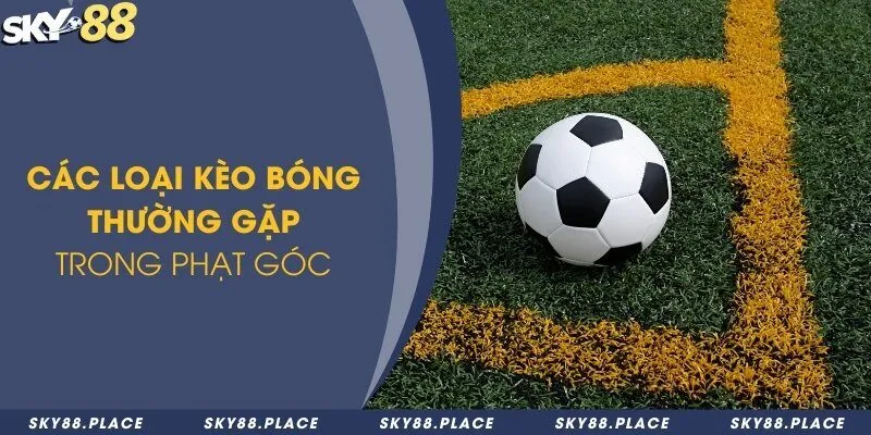 Kèo phạt góc là gì? Các loại kèo thường gặp trong cược đá phạt góc 2 Tổng hợp những loại kèo cược phạt góc trong cá độ bóng đá