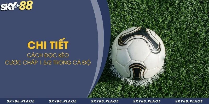 Kèo 1.5/2 là gì? Tổng hợp thống kê xu hướng kèo để cược chính xác 2 Chi tiết cách đọc kèo cược chấp 1.5/2 trong cá độ