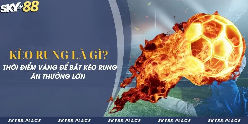 Kèo rung là gì? Thời điểm vàng để bắt kèo rung ăn thưởng lớn 5 Kèo rung là gì? Thời điểm vàng để bắt kèo rung ăn thưởng lớn