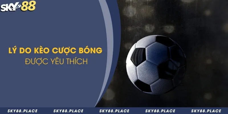 Lý do kèo cược bóng được yêu thích 