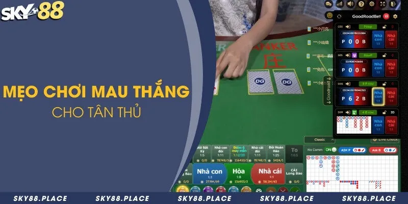 Baccarat là gì? Luật chơi baccarat và 4 mẹo thắng lớn 3 Mẹo chơi mau thắng cho tân thủ