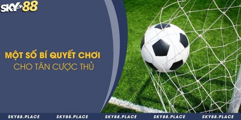 Một số bí quyết chơi cho tân cược thủ