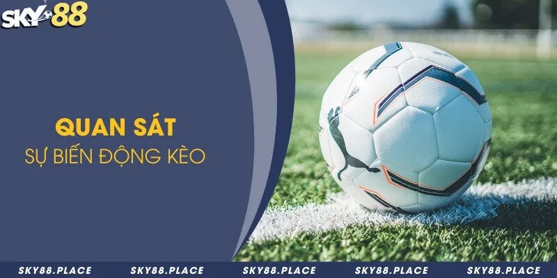 Kèo dụ là gì? Làm sao để tránh được những kèo dụ bất lợi khi cá độ 2 Quan sát sự biến động kèo